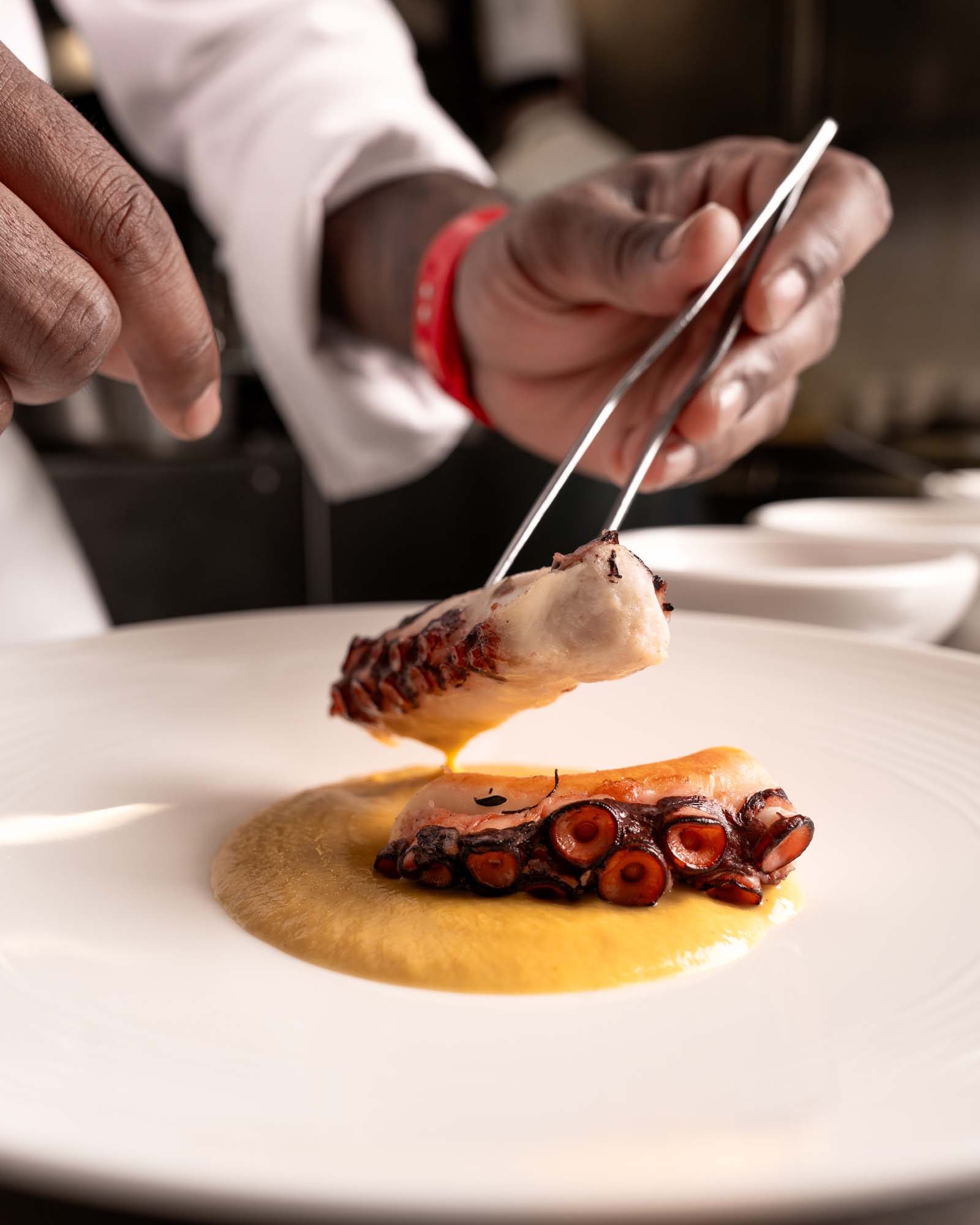 Tentacolo di polpo grigliato su crema, impiattato dallo chef