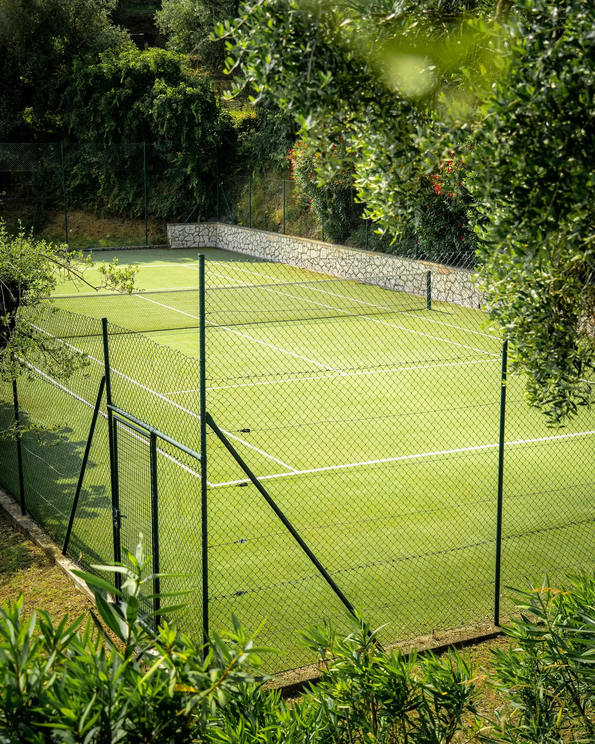 Eingezäunter Tennisplatz mit grünem Belag, von Bäumen umgeben